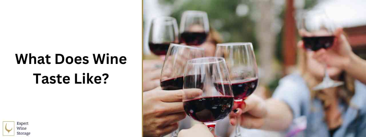 Wine Taste Guide