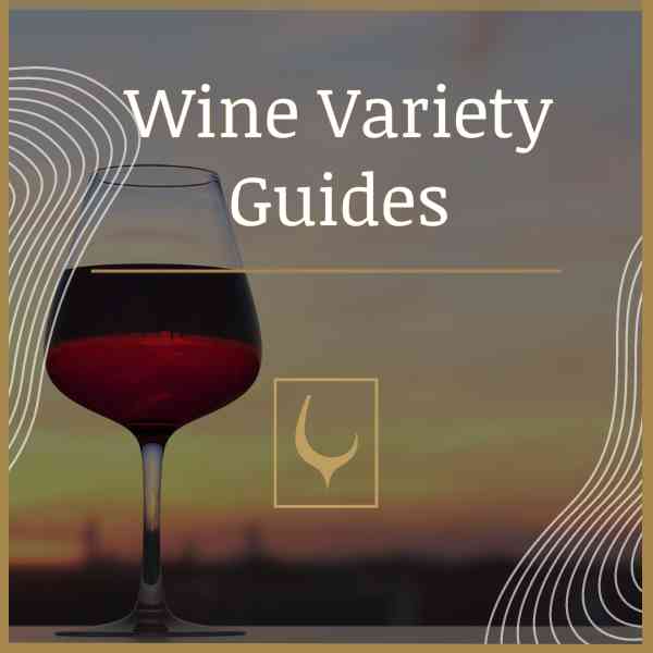 Wine Variety Guides
