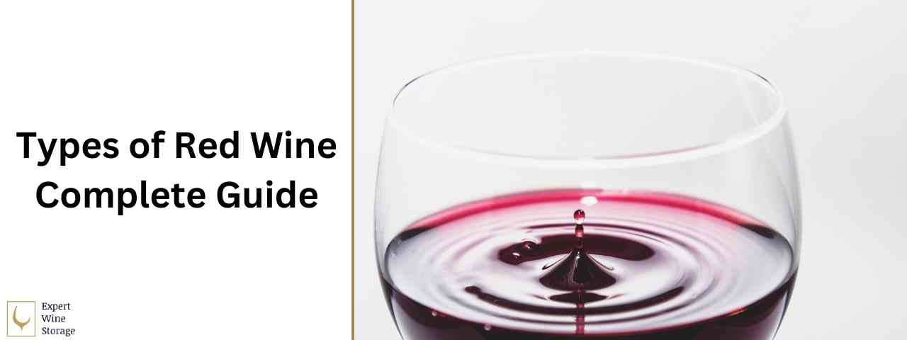 Red Wine Types (Best Varieties, Taste & Characteristics)