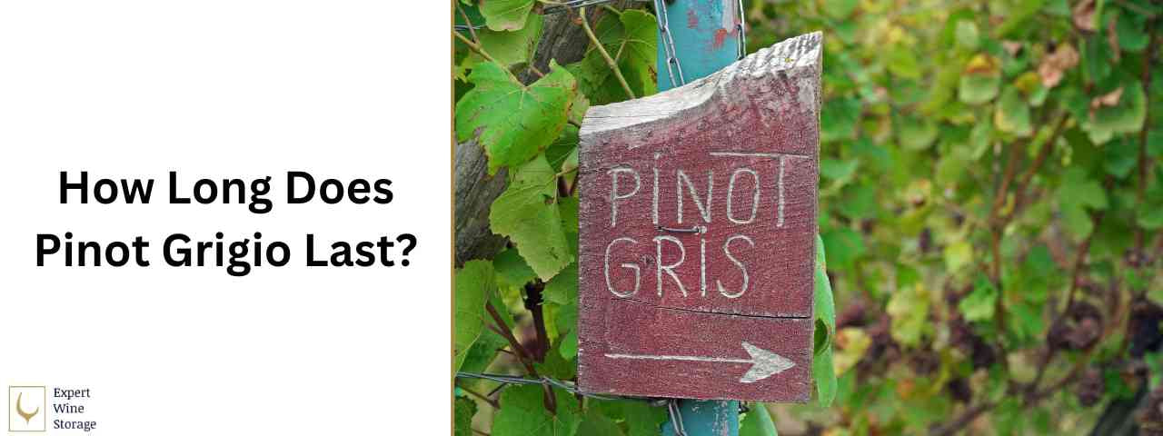 How Long Does Pinot Grigio Last? (Opened, Unopened & Expiry)