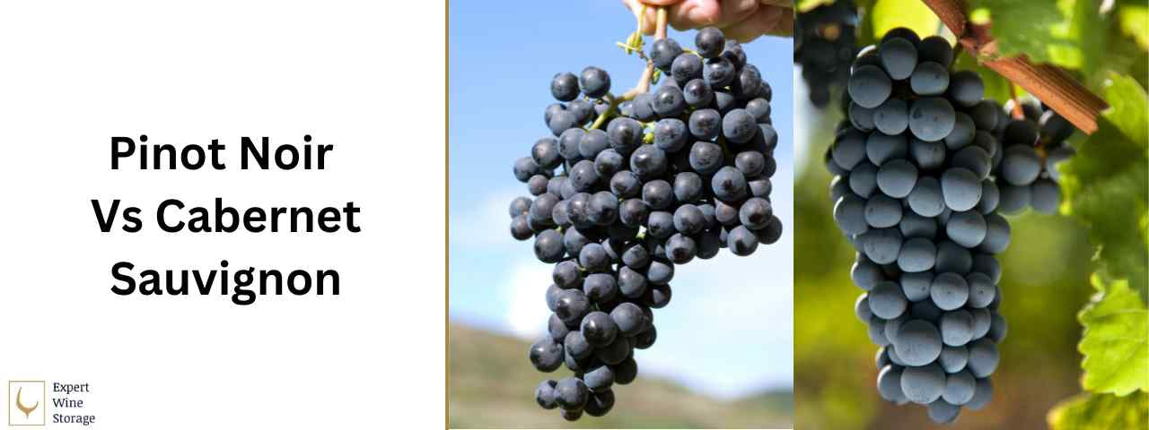 The Difference Between Pinot Noir & Cabernet Sauvignon