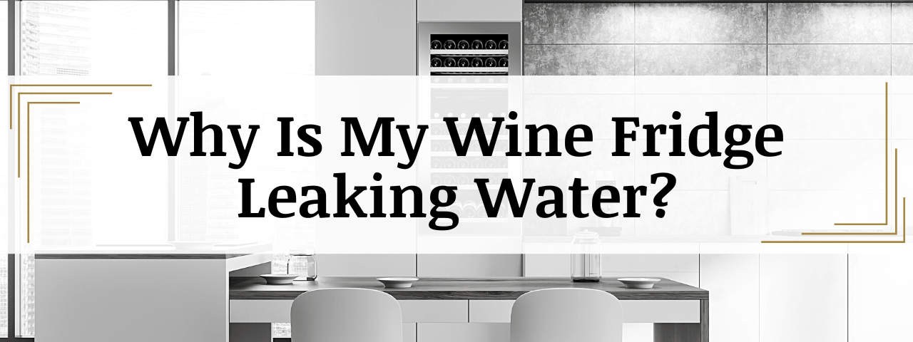 Why Is My Wine Fridge Leaking Water? (How To Fix)