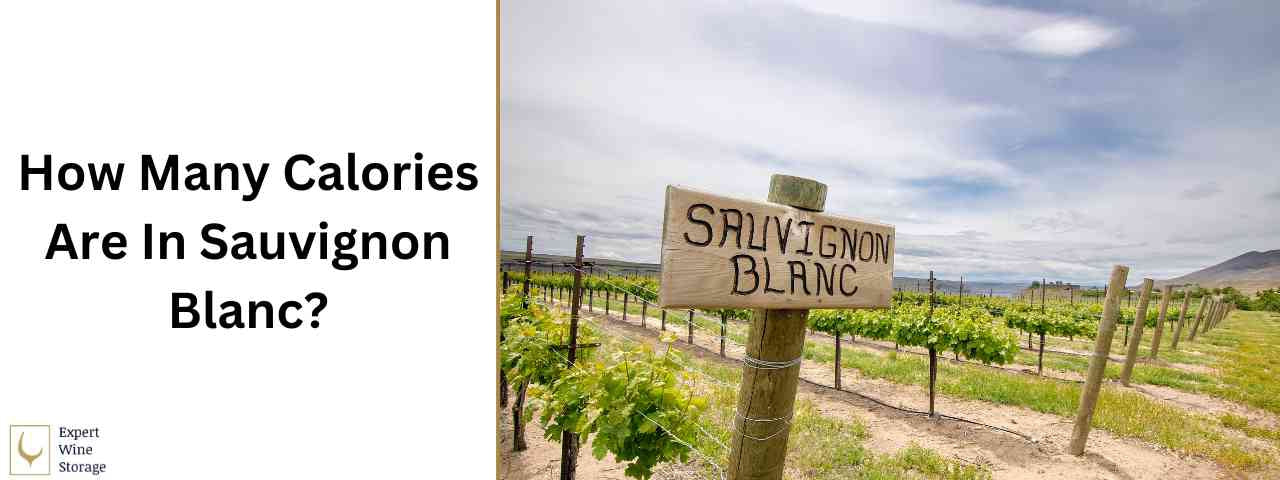 How Many Calories In Sauvignon Blanc (In a Glass & Bottle Plus Nutrition)