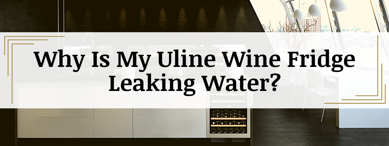 Why Is My Uline Wine Fridge Leaking Water? (How To Fix)