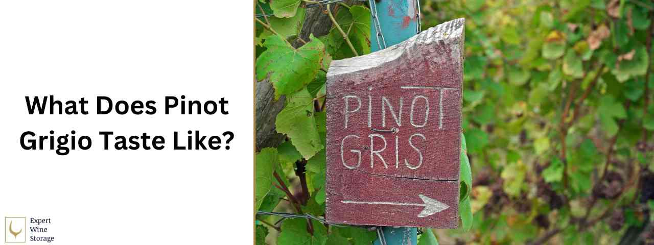 How Does Pinot Grigio Taste? (Flavours & Food Pairings)