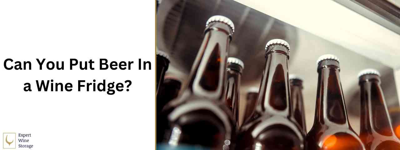 Can You Store Beer In a Wine Cooler?