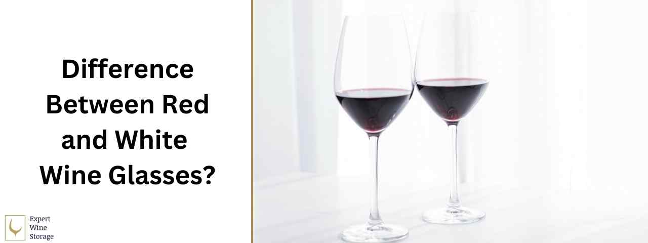 Red And White Wine Glass Differences
