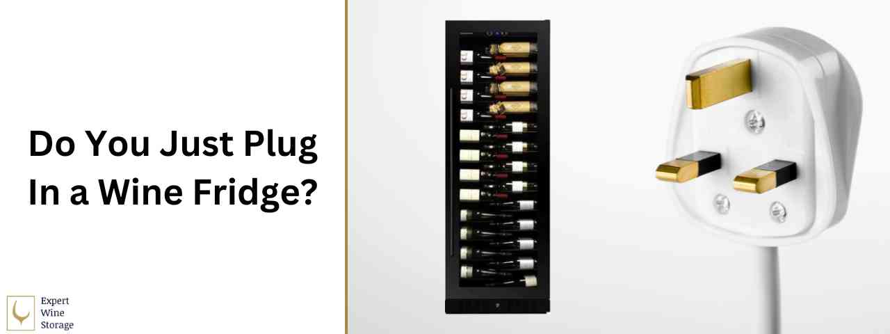 Do You Just Plug in a Wine Fridge? (Must Read Tips)