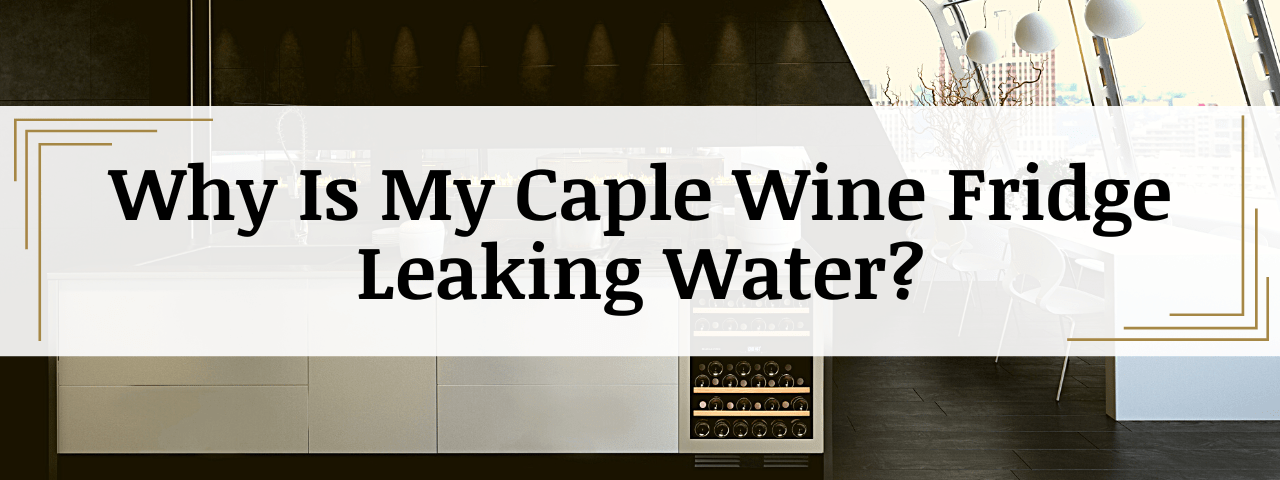 Why Is My Caple Wine Cooler Leaking Water