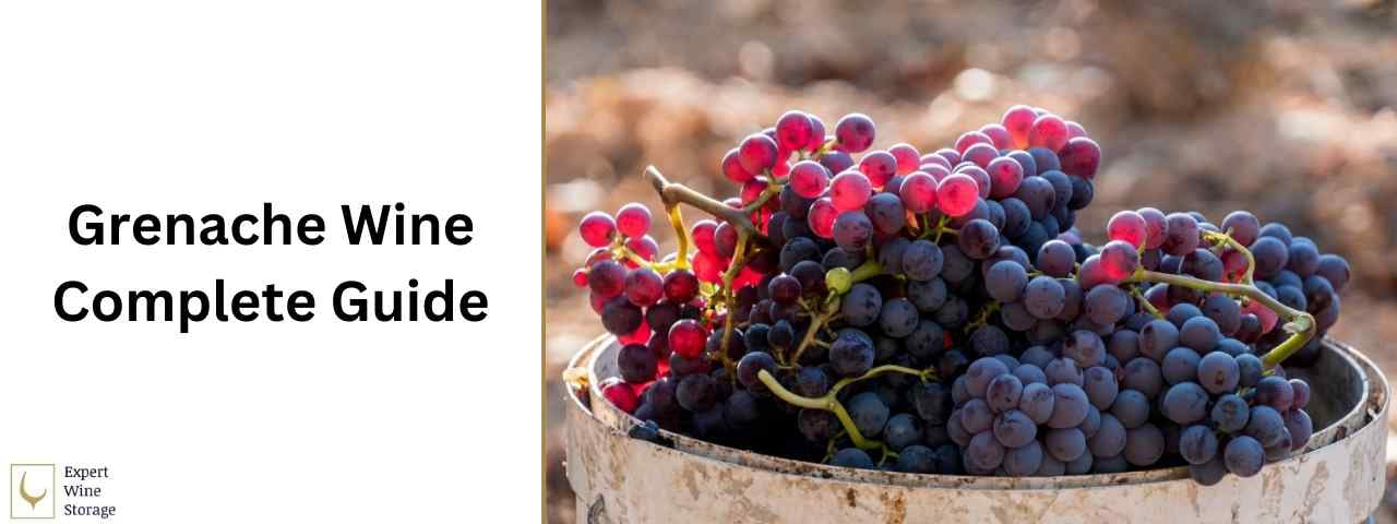 What Is Grenache Wine (Best Varieties, Taste & Characteristics)