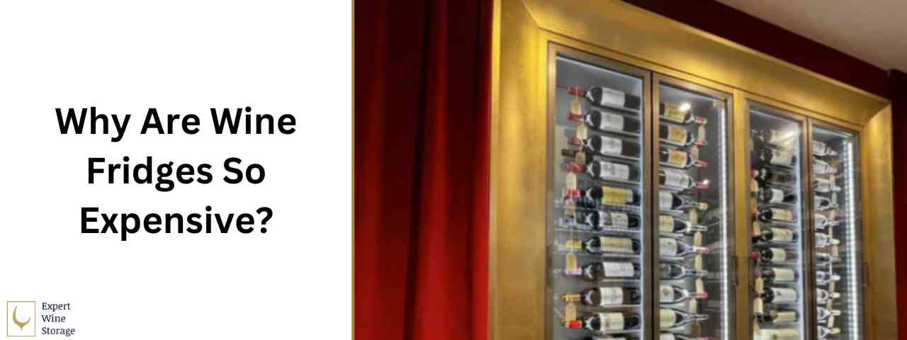 Why Are Wine Fridges So Expensive?