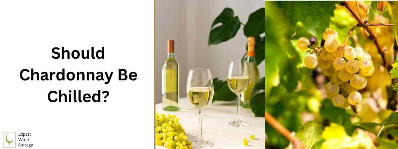 Should Chardonnay Be Chilled? (Serving & Refrigeration Temperature)