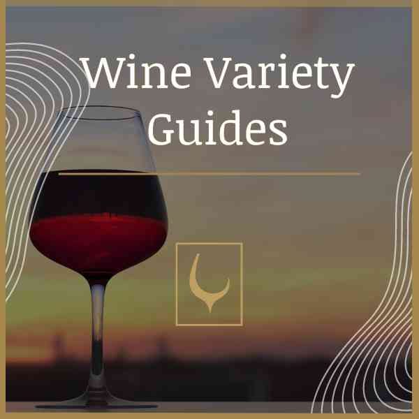 Driest Red Wines (7 Best Dry Types & What Is The Driest)